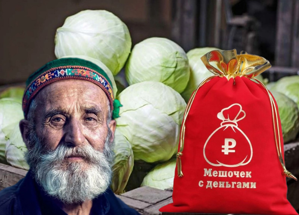 Кочан, полный санкций: фермеры объяснили, как избежать дефицита овощей, и кто поможет России с урожаем