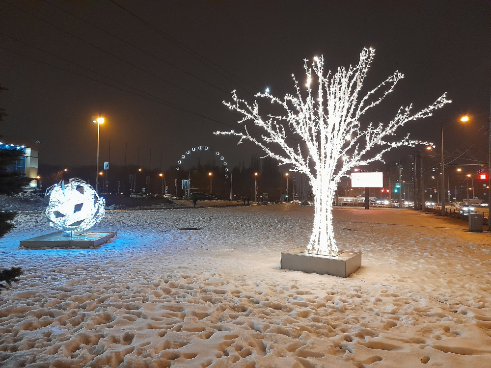 Зима в Самарской области начнётся с пасмурной и морозной погоды