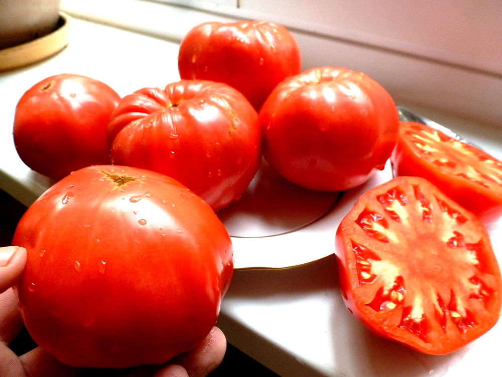 Из них делали варенье: в Самарской области исчезли томаты, ставшие визитной карточкой региона