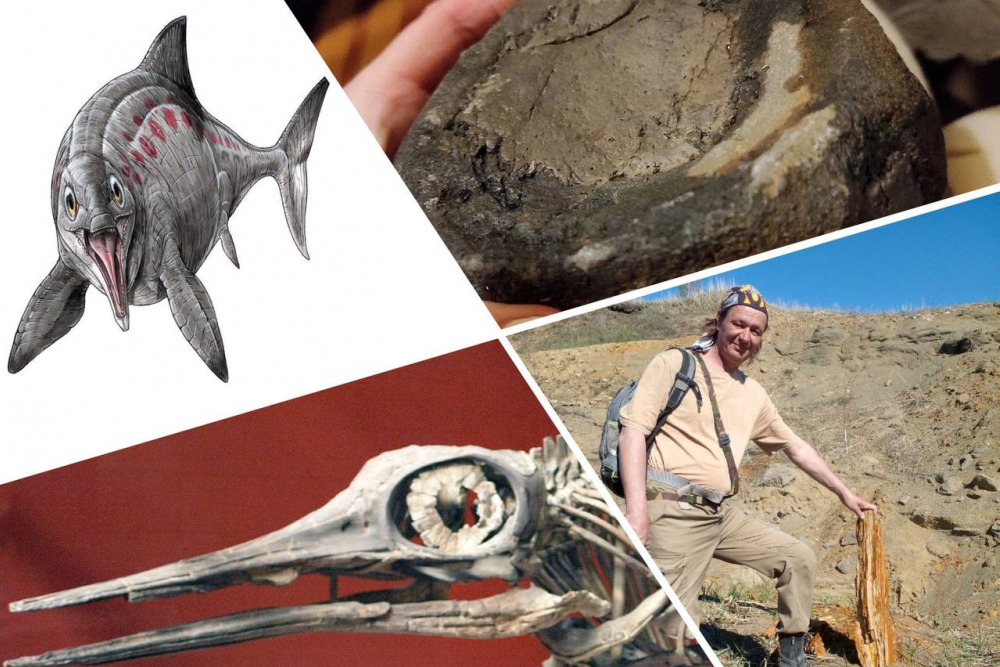 «Крупная животинка!»: учёные Самары нашли останки древнего чудовища-офтальмозавра