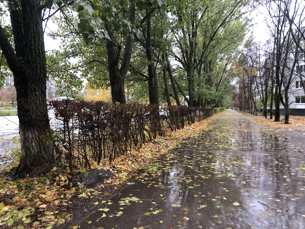 Потепление и дождь: в четверг погода в Самаре переменится