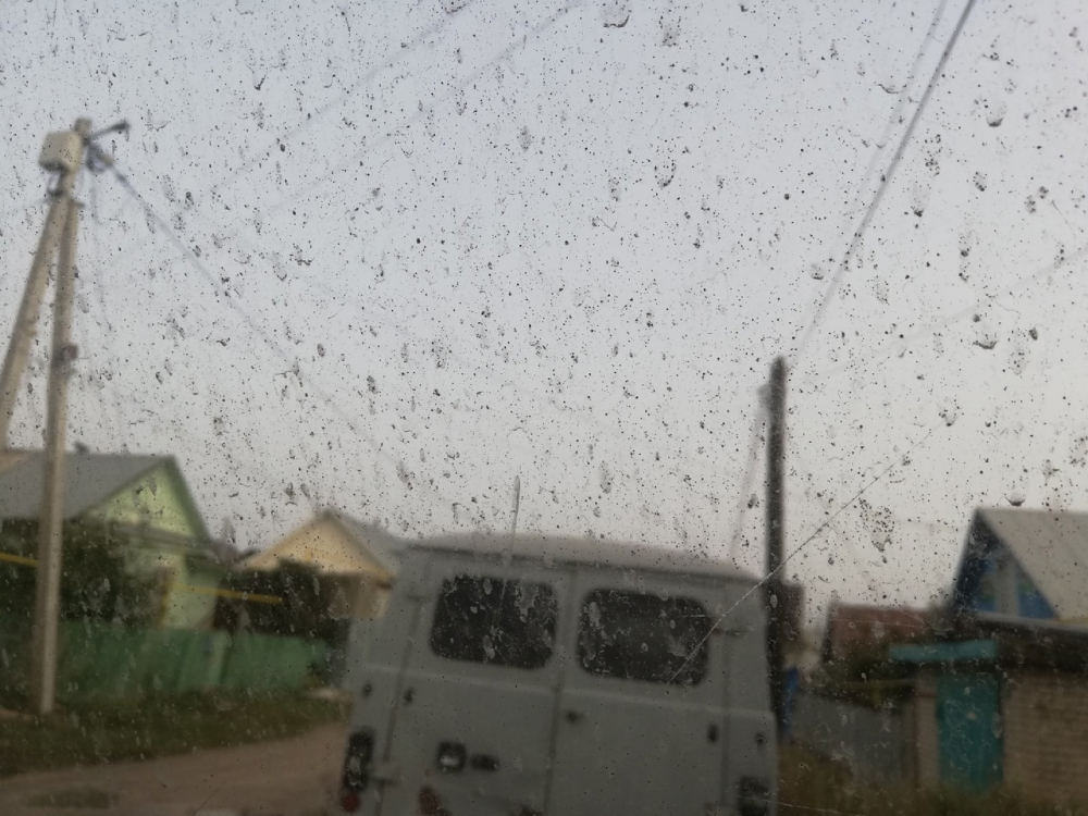 В Самарской области прошёл токсичный дождь