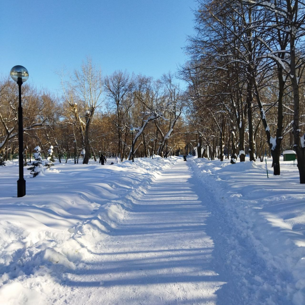 19 января в Самарской области будет приятная солнечная погода
