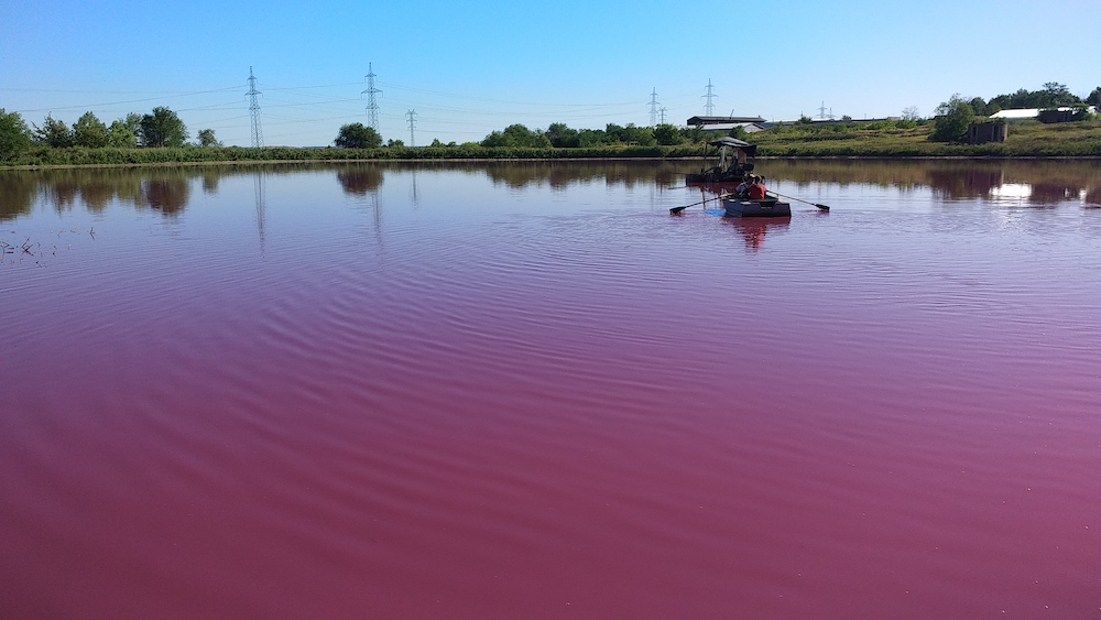 Розовое озеро (14).jpg