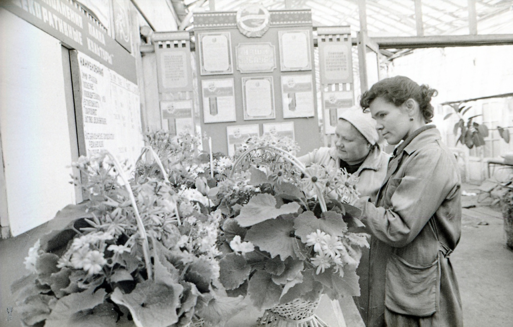 Куйбышевский комбинат выращивания декоративных цветов. 10 февраля 1978 года 2.jpg