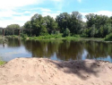 Жители Куйбышевского района Самары просят остановить вырубку леса на берегу реки Татьянки