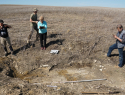 Часть скелета и обед: тракторист в Самарской области нашёл останки ихтиозавра