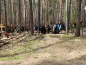 В Самарской области чиновник получил условный срок за незаконные захоронения в лесу