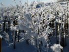 На выходных в Самарской области ожидается похолодание до -20 градусов