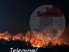 Сильный лесной пожар разгорелся около поселка Смышляевка 31 марта 