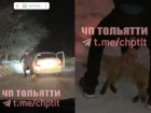 Подростки-живодеры из Тольятти насмерть забили лису и сняли это на видео 