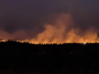 В Тольятти до сих пор не могут потушить лесной пожар