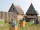 Рассказываем, где в Самарской области можно пройти пчёлотерапию 