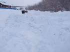 В Самарской области два ученика сами расчистили улицу от снега, чтобы попасть в школу