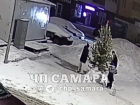 «Чему учат ребёнка?»: «семья Гринчей» обворовала ёлку в самарском дворе