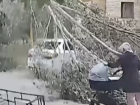 Во дворе дома на улице Нагорной в Самаре дерево упало рядом с коляской с ребёнком