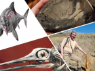 «Крупная животинка!»: учёные Самары нашли останки древнего чудовища-офтальмозавра