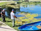В Самаре спасают озеро Песчаное в парке Металлургов