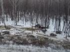 Жителя Самарской области осудили за незаконную вырубку леса