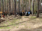 В Самарской области чиновник получил условный срок за незаконные захоронения в лесу