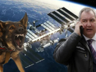 «Хотите, чтобы МКС упала?»: Рогозин обратился к «псам войны» по поводу завода в Самаре