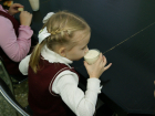 В Самарской области с 1 февраля подорожают обеды в школах