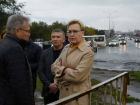 Елена Лапушкина отреагировала на поручение губернатора и побывала на Южном мосту
