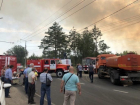 Николай Ренц заявил, что поджигателей тольяттинского леса так и не нашли