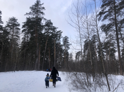 На Масленичной неделе погода в Самарской области будет неустойчивая