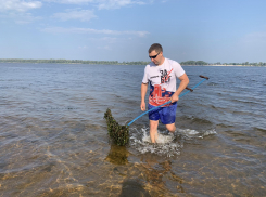В Самаре на городских пляжах чистят дно от водорослей