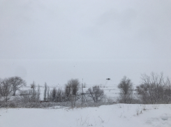 В понедельник в Самаре будет морозно и пасмурно