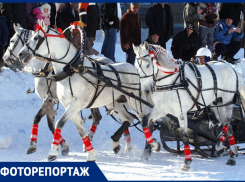 Показываем, почему мощность измеряют в лошадиных силах 