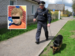 Лежал в канаве при ноле градусов: пропавшего под Самарой 3-летнего мальчика нашли спустя 12 часов