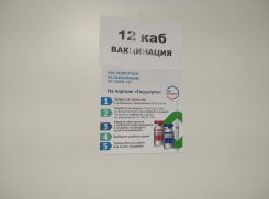 Поддельный сертификат о вакцинации можно выявить с помощью приложения