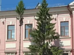 В Самаре спилили две большие ели у Центробанка 