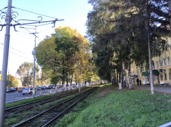 В первые дни осени в Самаре будет по-летнему тепло