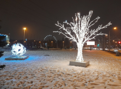 Зима в Самарской области начнётся с пасмурной и морозной погоды