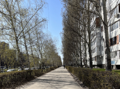 В начале недели в Самаре будет тепло и солнечно