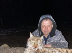 В Самарской области началась проверка из-за убийства рыси
