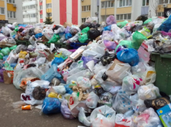 В Кировском районе Самары могут вернутьо прежнего регоператора по вывозу мусора