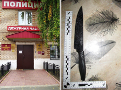 Он был младше её на 12 лет: в Исаклинском районе благодаря чёрному ножу раскрыто тяжкое преступление