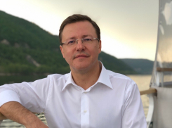 Дмитрий Азаров поручил поддержать дачников