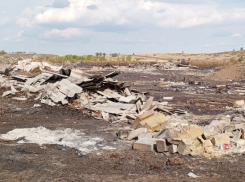 Многодетной семье в Самаре выдали участок земли со свалкой