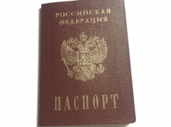 При переписи населения не потребуется показывать паспорт