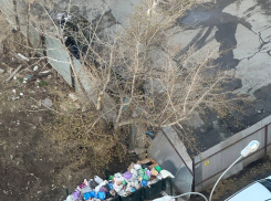 В Самарской области зафиксировали всплеск незаконных свалок