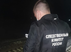 В Самарской области поезд сбил мужчину
