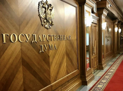 За 2020 год депутаты Госдумы от Самарской области заработали 1,8 млрд руб