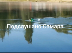 В Самаре курьеры доставляют продукты вплавь