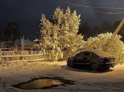 Борское, Отрадный, Похвистнево: жители области делятся фотографиями первых сугробов