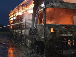 На трассе Самара-Волгоград сгорел грузовик Mercedes 